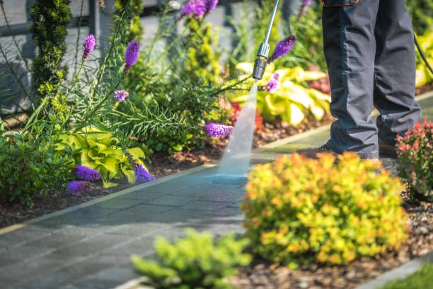 Best Patio and Deck Pressure Washing  in Archdale, NC